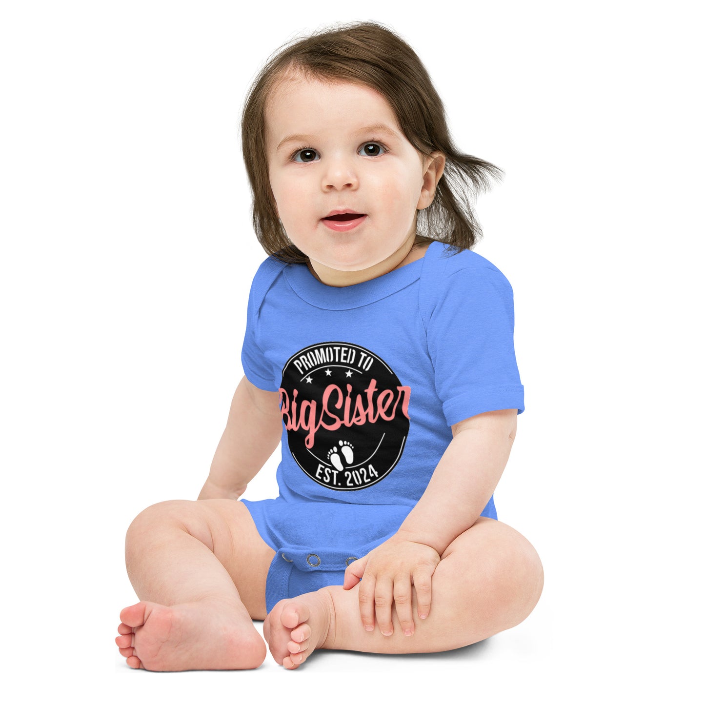 Promoted to Big Sister 2024 One Piece